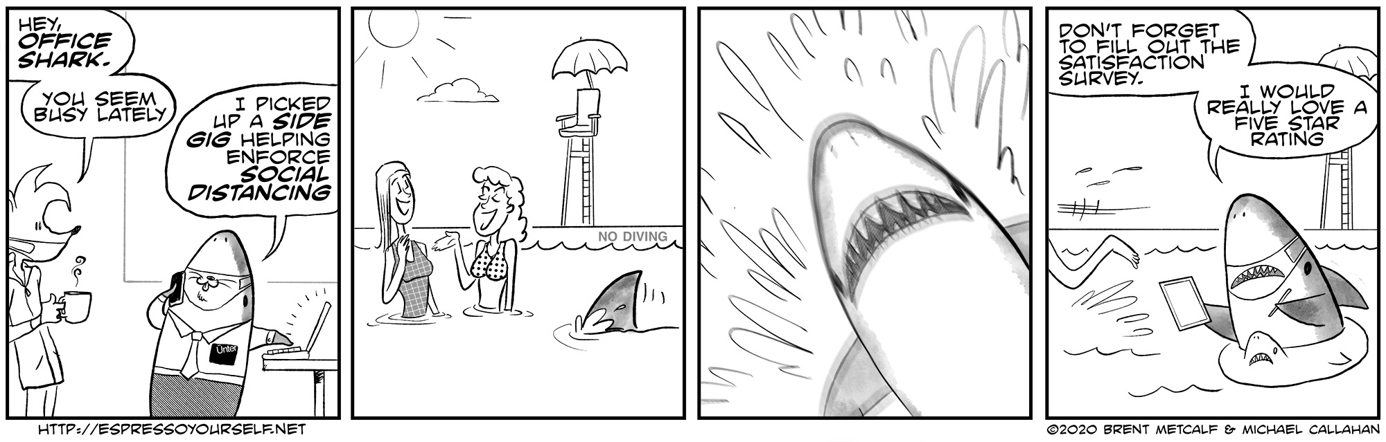 Shark Gig